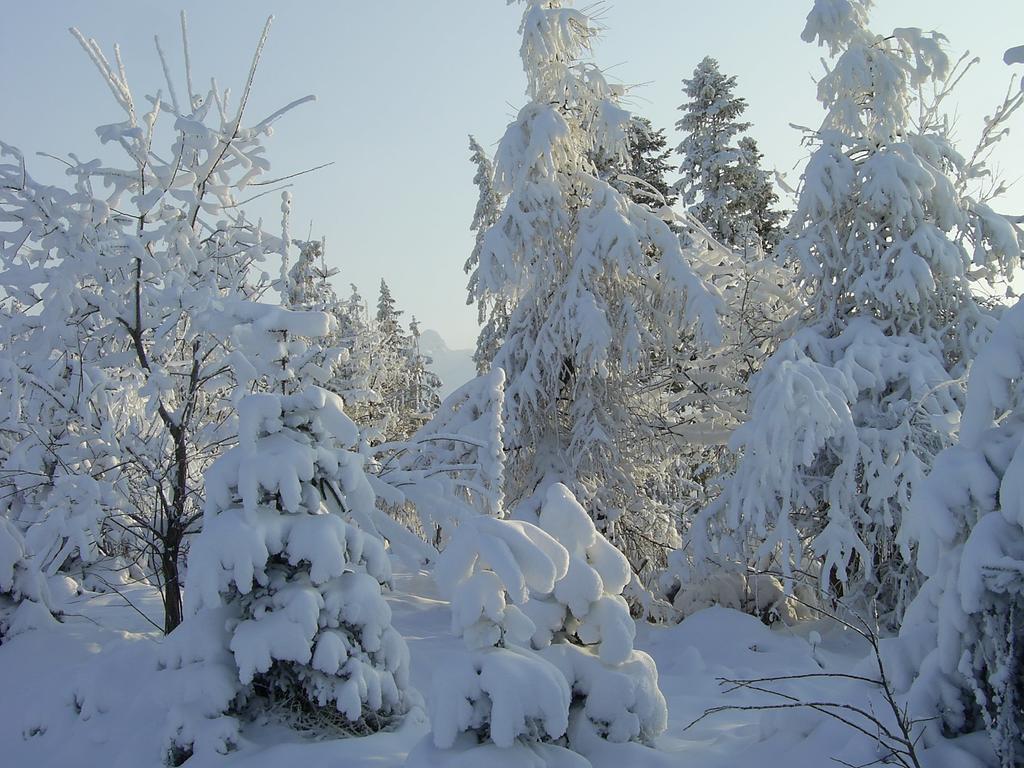 Pod Limba Jurgów Exterior foto